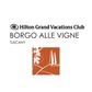 Borgo alle vigne Hilton - Terricciola PI